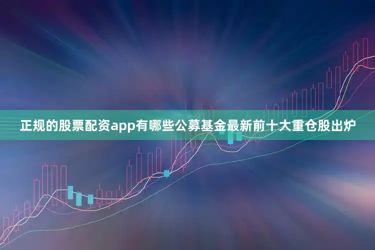 正规的股票配资app有哪些公募基金最新前十大重仓股出炉